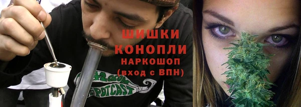амф Арсеньев