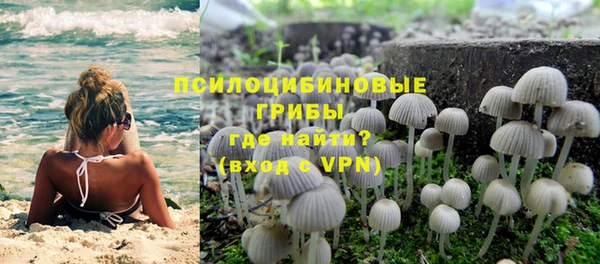 амф Арсеньев