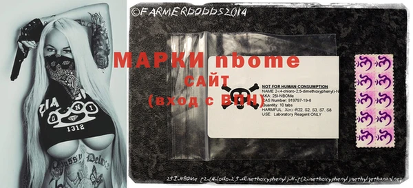 амф Аркадак