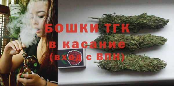 амф Аркадак