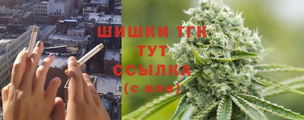 амф Арсеньев