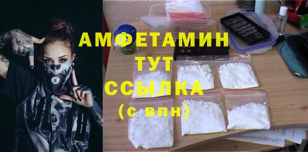 амф Аркадак